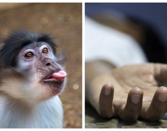 Bihar, an unfortunate incident happened whereby a fresh college girl succumbed to a monkey attack which is further documented