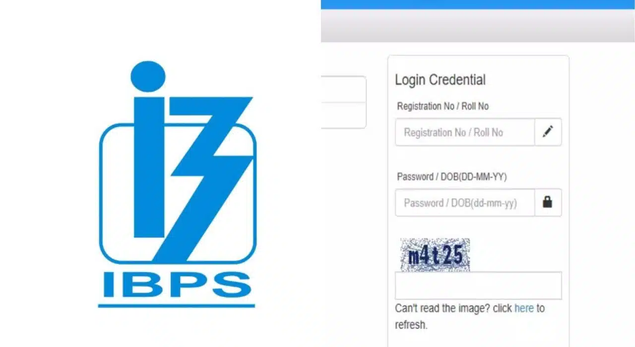 IBPS SO Main 2025 Result Out, Download your scorecard now