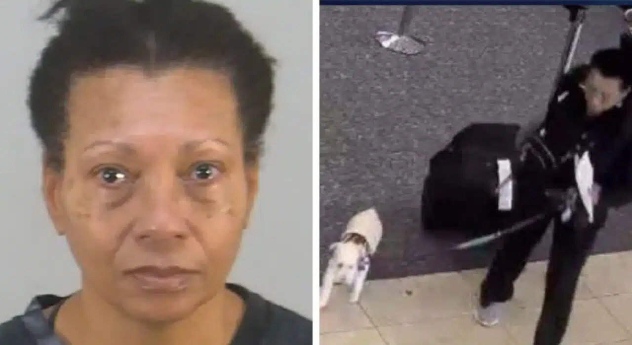 Louisiana woman arrested over attempting drowns dog at Orlando airport