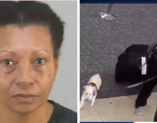 Louisiana woman arrested over attempting drowns dog at Orlando airport