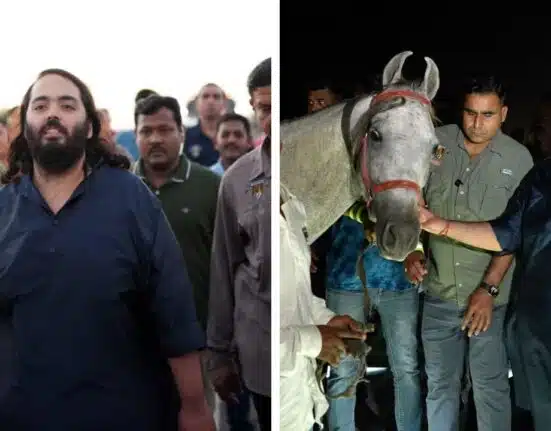Anant Ambani starts 180-km padayatra from Jamnagar to Dwarka