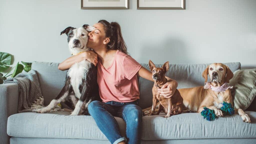 Unlock Your Pet’s Full Potential_ The Power of Holistic Care - 1