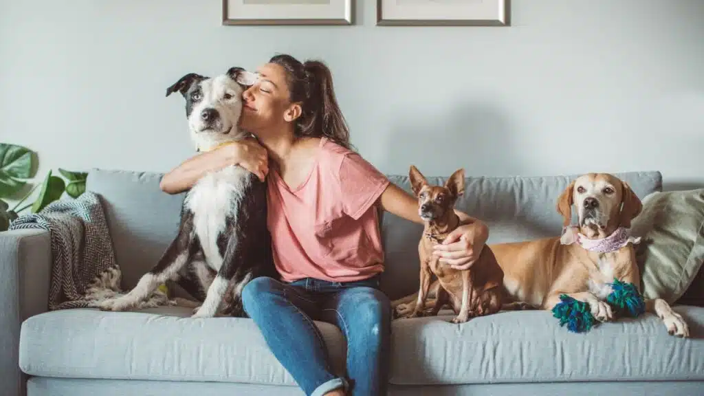 Unlock Your Pet’s Full Potential_ The Power of Holistic Care - 1