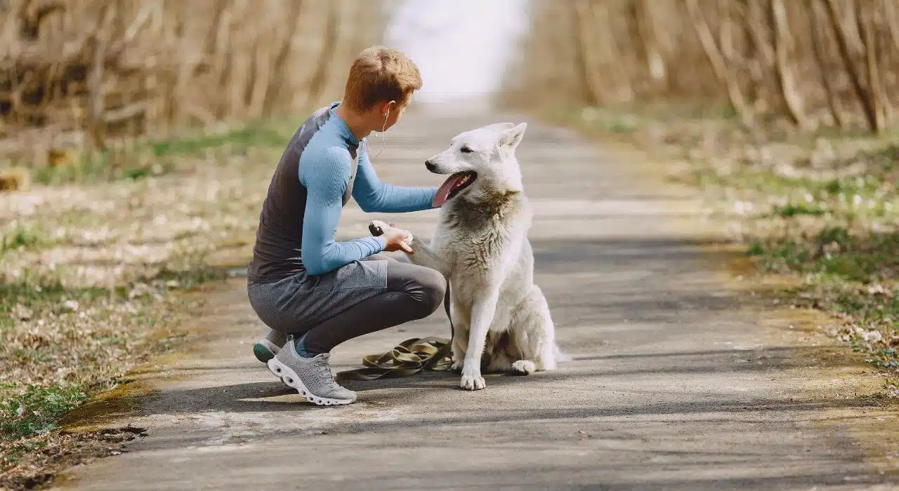 Unlock Your Pet’s Full Potential_ The Power of Holistic Care - 2