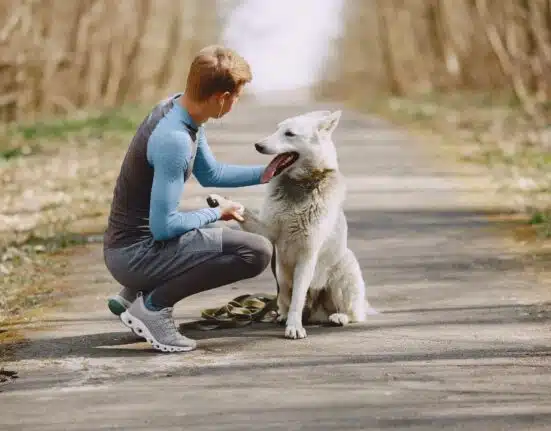 Unlock Your Pet’s Full Potential_ The Power of Holistic Care - 2