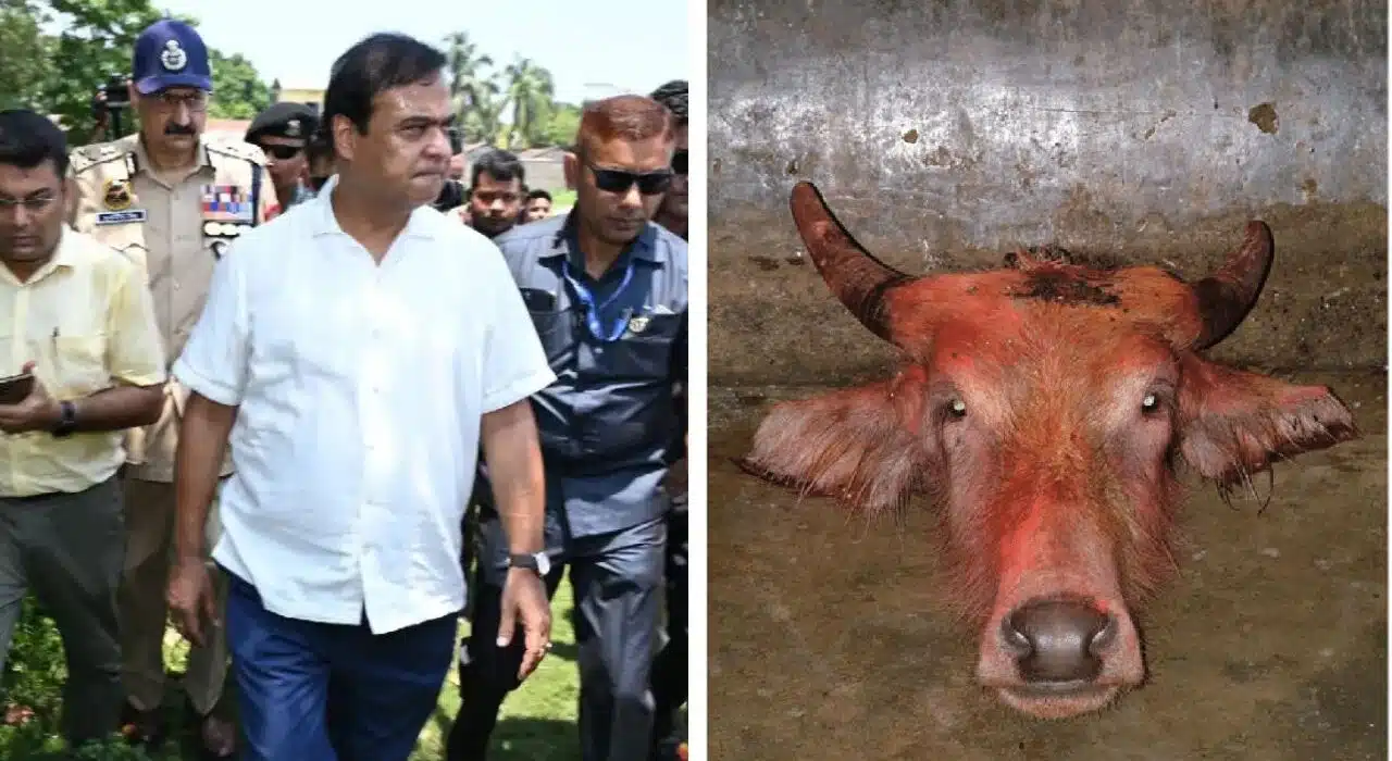 Assam CM Himanta Biswa Sarma issue shoot-at-sight orders after found cow's head near Hindu temple