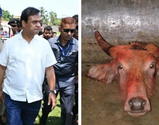 Assam CM Himanta Biswa Sarma issue shoot-at-sight orders after found cow's head near Hindu temple