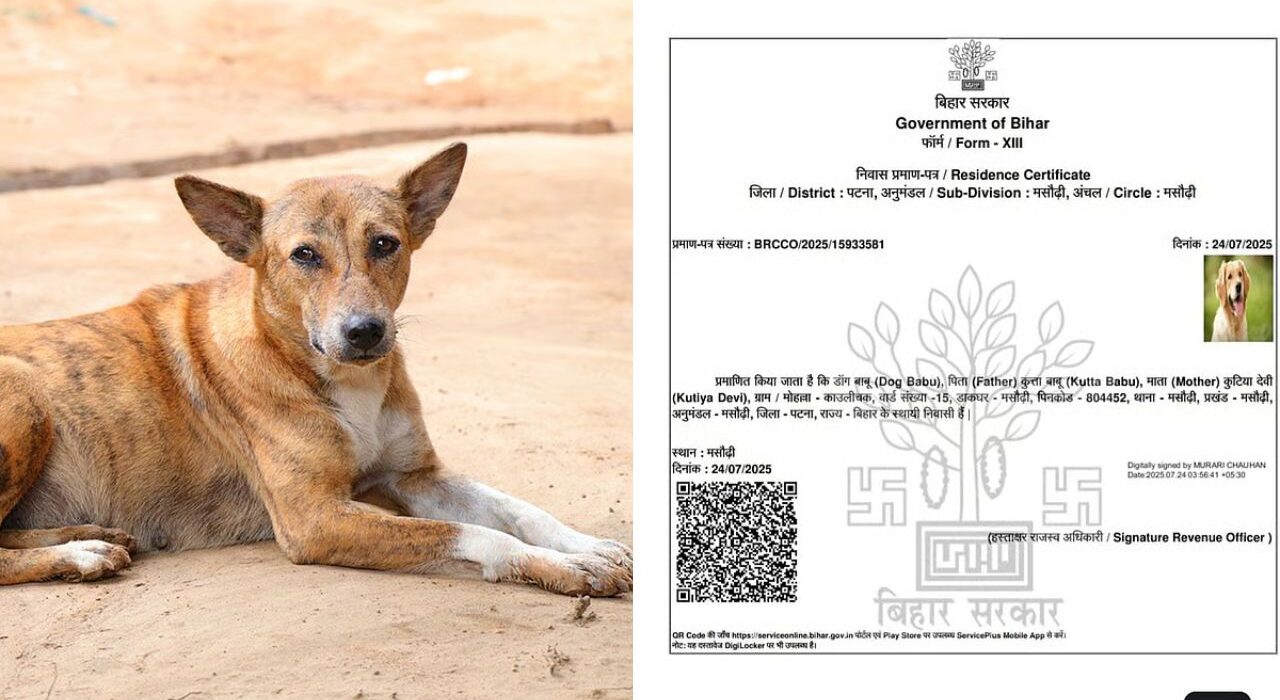 'Dogesh Babu' Bihar dog residence certificate Issued in SIR Process