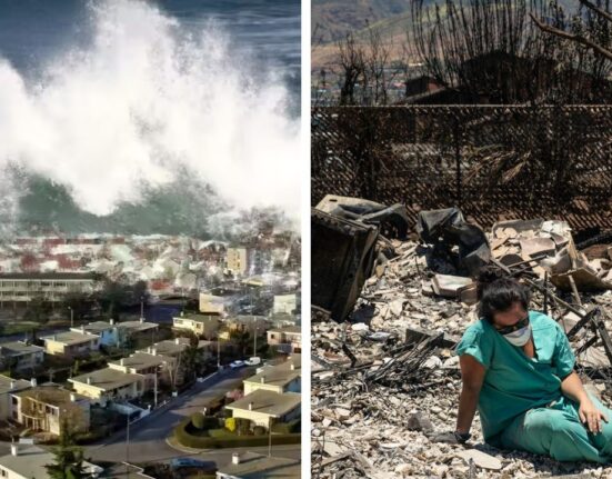 Tsunami warning in Hawaii: Women unable to leave Condo in 15 to 20 minutes with her children