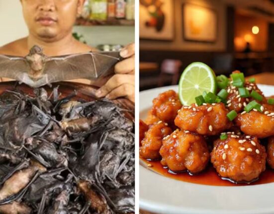 Two arrested for selling Bat Meat as chilli chicken at Roadside Stall in Tamil Nadu