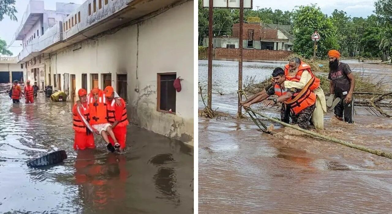 Punjab Floods Death toll increase to 48, 1.76 lakh hectares crops damaged, Schools, Colleges Reopen From Today