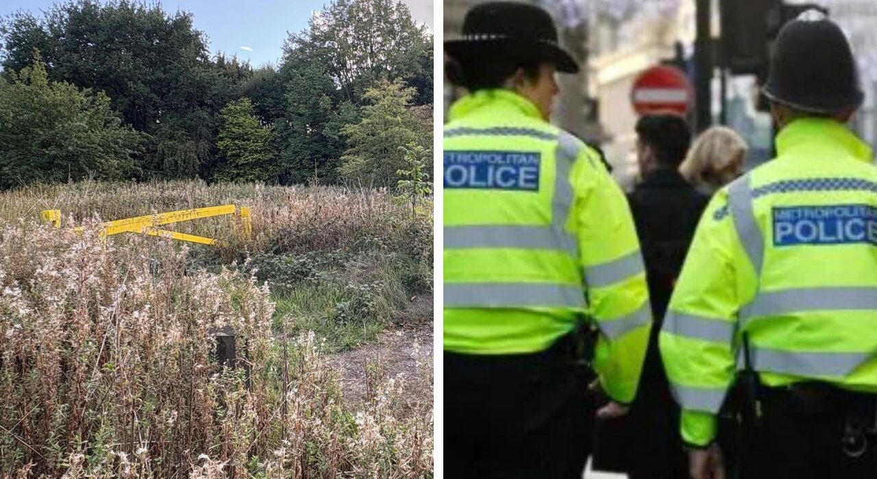 Sikh women raped at UK Park, Two Rapists Threat Her to Go back to your country