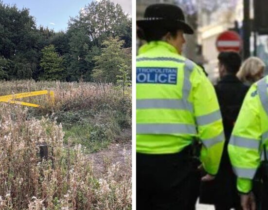 Sikh women raped at UK Park, Two Rapists Threat Her to Go back to your country