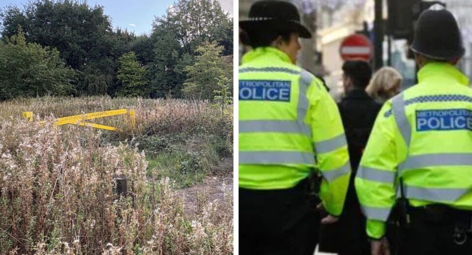 Sikh women raped at UK Park, Two Rapists Threat Her to Go back to your country