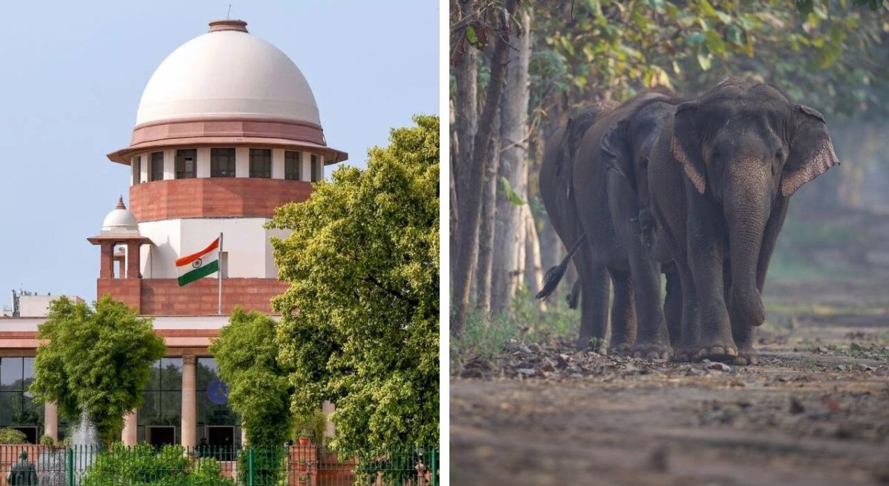 Supreme Court Clean Chit to Vantara on all smuggling and money laundering allegations