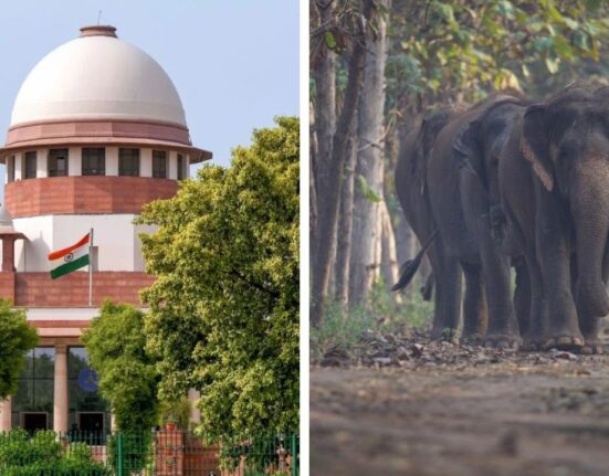 Supreme Court Clean Chit to Vantara on all smuggling and money laundering allegations