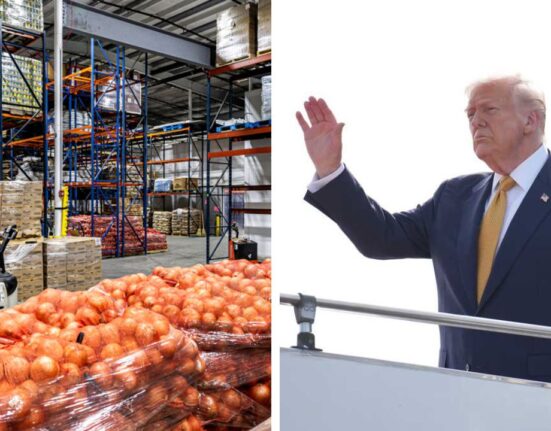 Two dozen states sue the Trump administration over food stamps suspension during shutdown