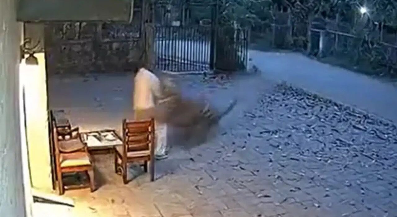 Viral Video Out of tiger attack in Maharashtra Chandrapur, Netizens say fake-AI generated