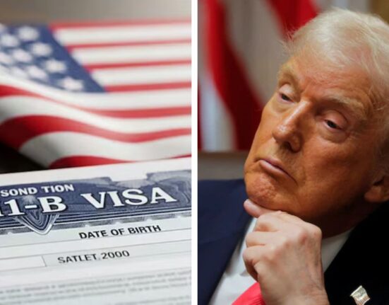 20 US States Sue Trump Administration over $100,000 H-1B fee hike