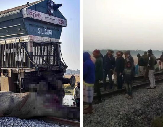 Assam Train Tragedy: Rajdhani Express Derails, Kill 7 Elephants