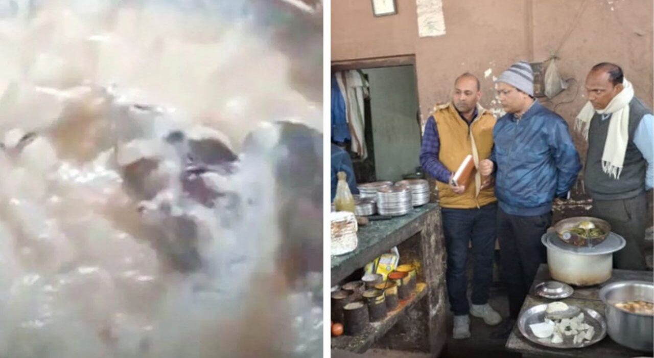 Ghazipur Dhaba Sealed After Rat Found in Curd, Video Goes Viral