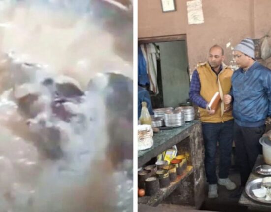 Ghazipur Dhaba Sealed After Rat Found in Curd, Video Goes Viral