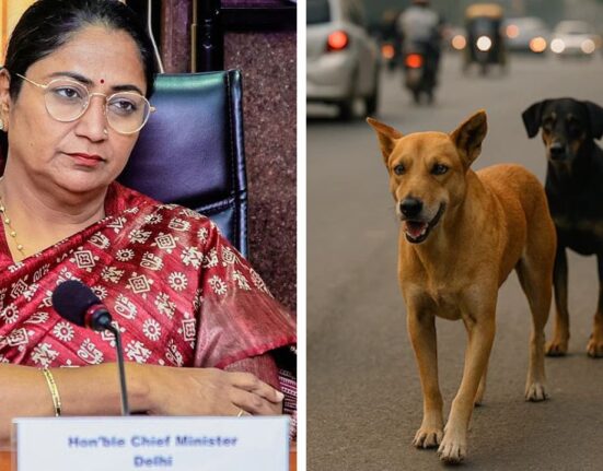 Delhi Denies Teachers Ordered to Count Stray Dogs