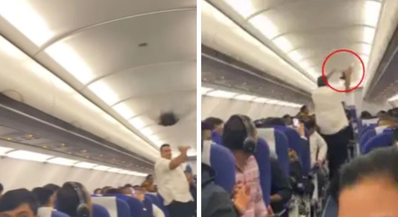 Video of Pigeon enters IndiGo flight Gone Viral, passengers record moment