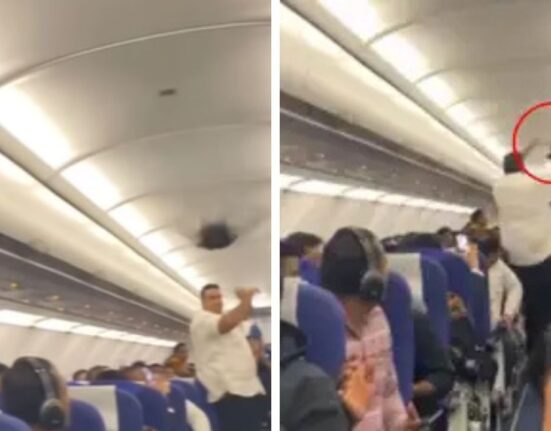 Video of Pigeon enters IndiGo flight Gone Viral, passengers record moment
