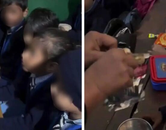 Teacher Inspects Lunch Boxes and Sparks Nutrition Debate