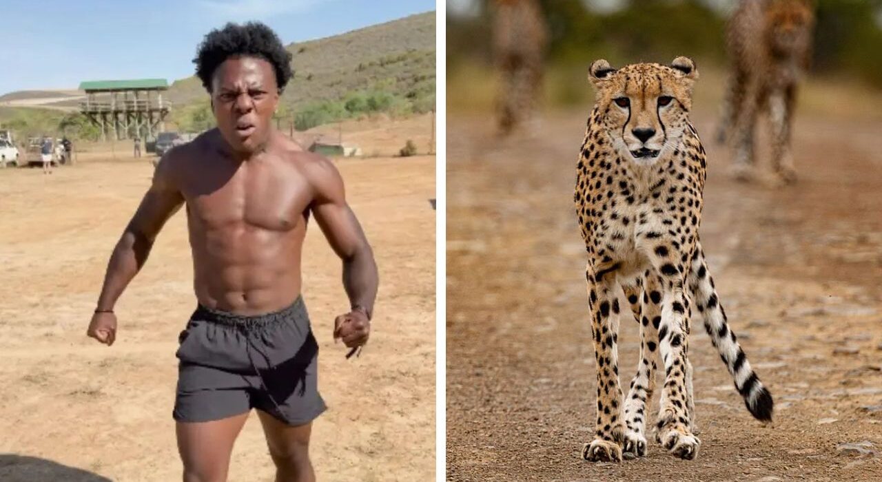 YouTuber IShowSpeed Races Leopard in Viral Video, Internet Reacts