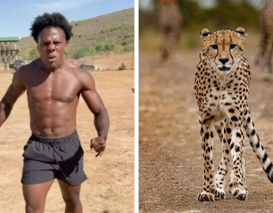 YouTuber IShowSpeed Races Leopard in Viral Video, Internet Reacts