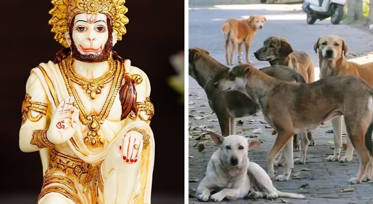 ‘Chamatkar’: Stray Dog Circles Hanuman Idol for 36 hours in Uttar Pradesh Temple