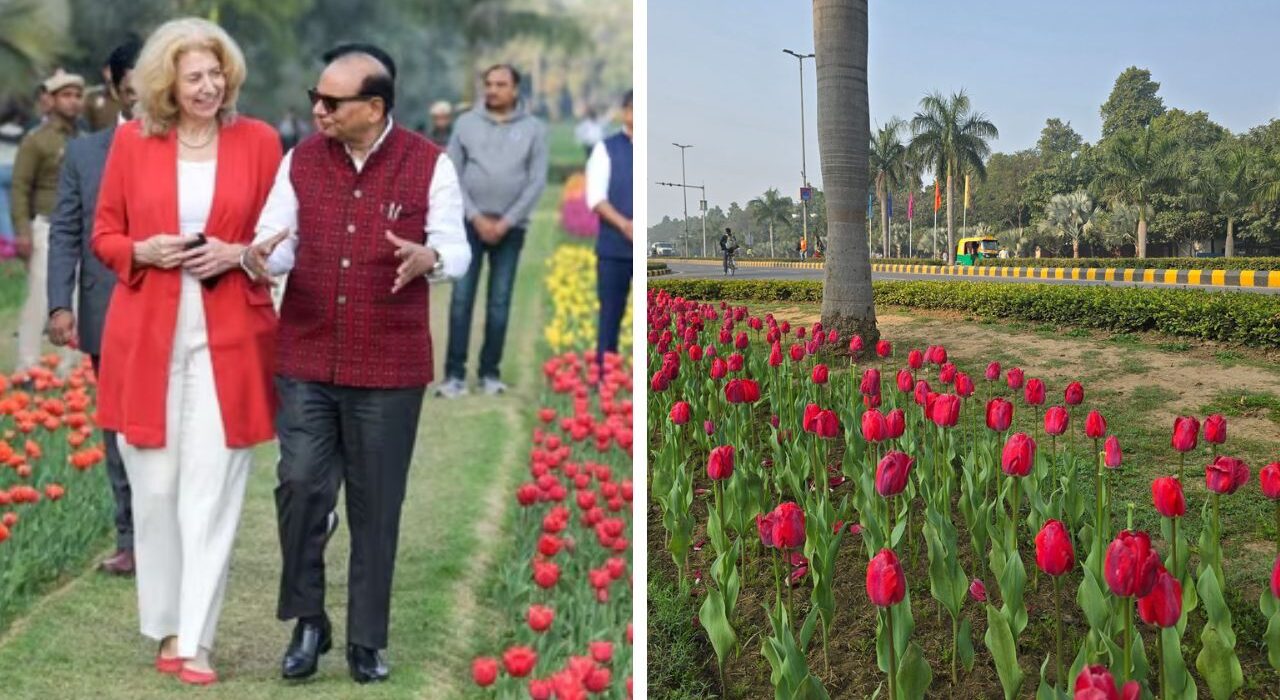 NDMC Launches Annual Tulip Festival 2026 in New Delhi