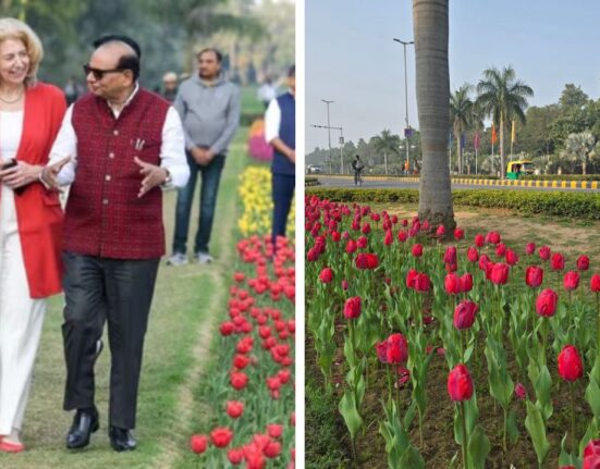 NDMC Launches Annual Tulip Festival 2026 in New Delhi