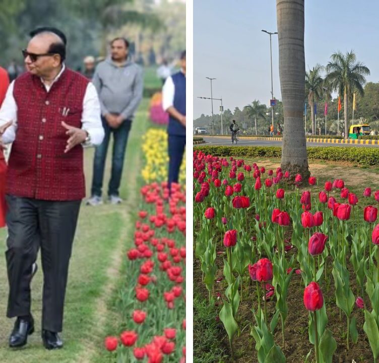 NDMC Launches Annual Tulip Festival 2026 in New Delhi