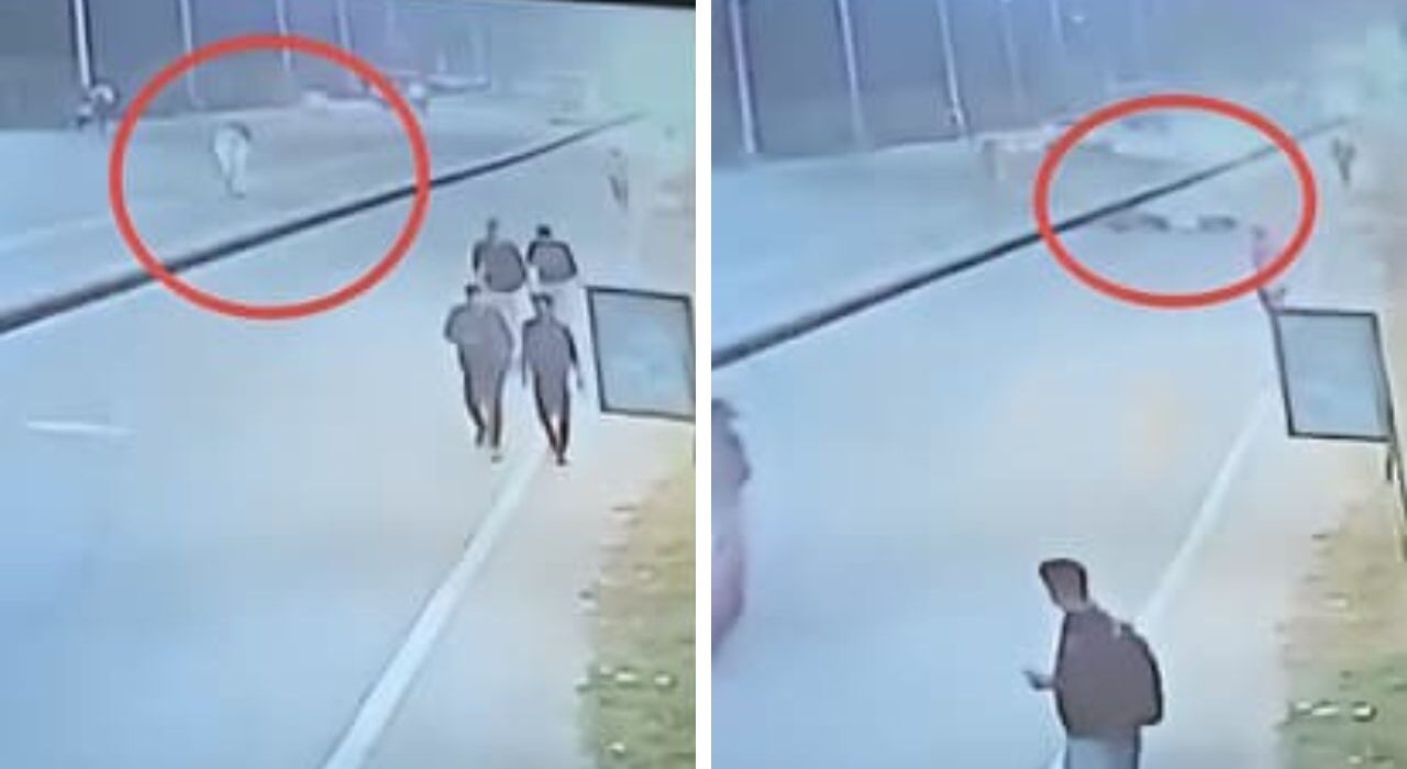 Prakhar Bhardwaj suffers brain injuries after hit by stray bull in Noida Sector 168