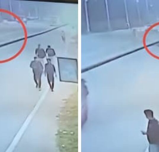 Prakhar Bhardwaj suffers brain injuries after hit by stray bull in Noida Sector 168