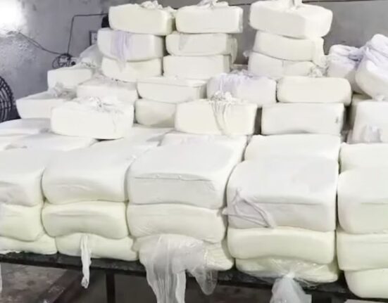 1401 Kgs of adulterated paneer seized from factory in Surat