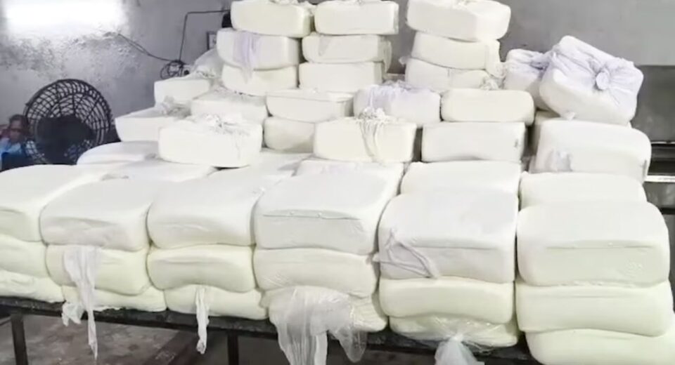 1401 Kgs of adulterated paneer seized from factory in Surat