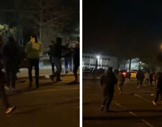 Harrow Holi Festival Peace Disrupted by Brawl and Arrest