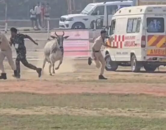 Major Security Lapse in CM Nitish Kumar Visit as Bull Enters Helipad, Policemen Run for Safety