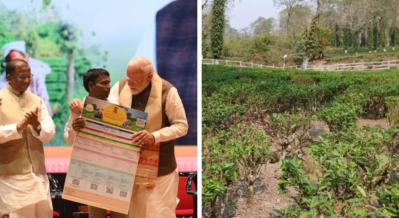 India Assures Ample Petrol and Diesel Amid Panic Buying