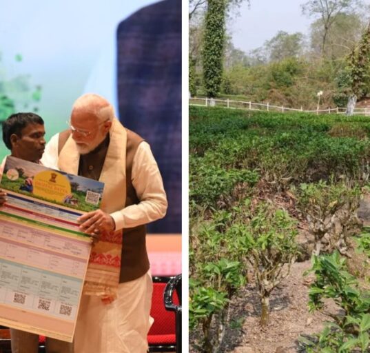 India Assures Ample Petrol and Diesel Amid Panic Buying