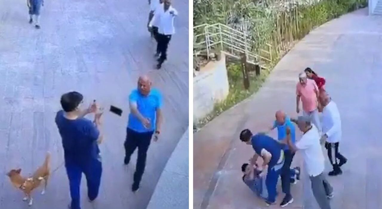 Seniors Assault Dog Owner Over Urination Near Walking Path in Bengaluru Complex