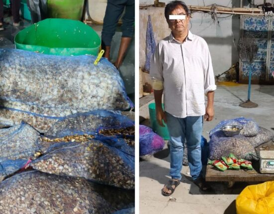 Telangana Police Arrest owner of SKR Food Products for Selling Adulterated Ginger-Garlic Paste