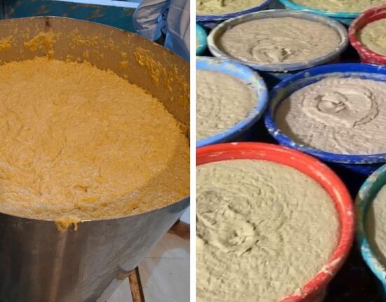 Two arrested for manufacturing adulterated ginger-garlic paste in Hyderabad