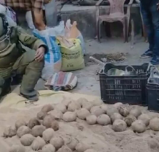 100 Crude Bombs Recovered from TMC Worker's House in Bhangar Before Phase 2 Polls