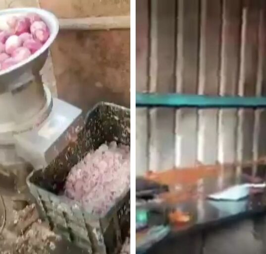 1000 kg Onions Destroyed after Food Safety Raid in Kukatpally