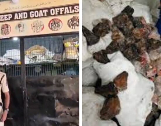 14 tons of rotten meat seized in Mangalhat, 1 arrested